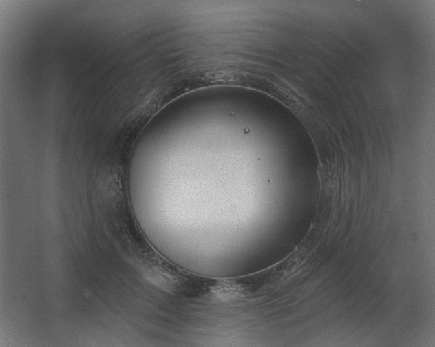 X0000067920603200604201432