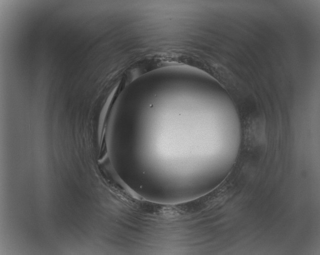 X0000067920608200604201432