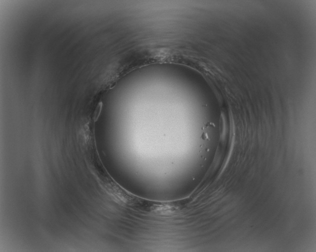 X0000067920611200604201432