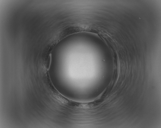 X0000067920613200604201432