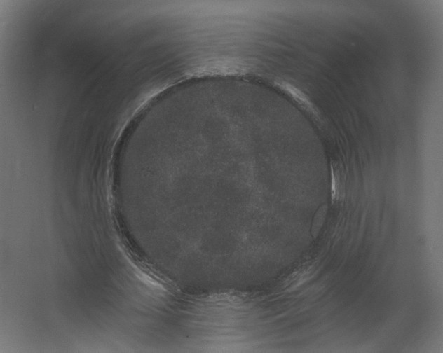 X0000067920627200604201431