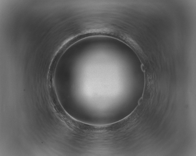 X0000067920628200604201431