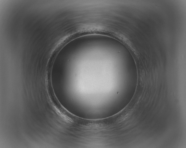 X0000067920629200604201431