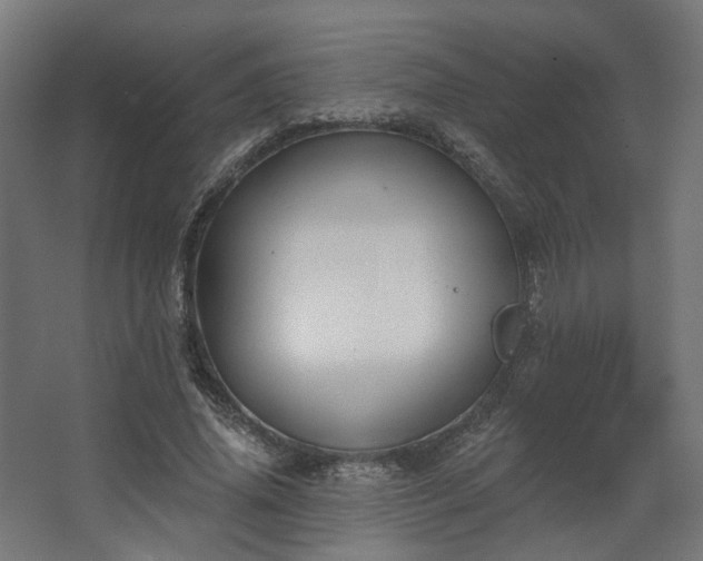 X0000067920636200604201431