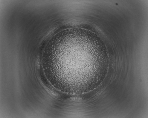 X0000067920644200604201431
