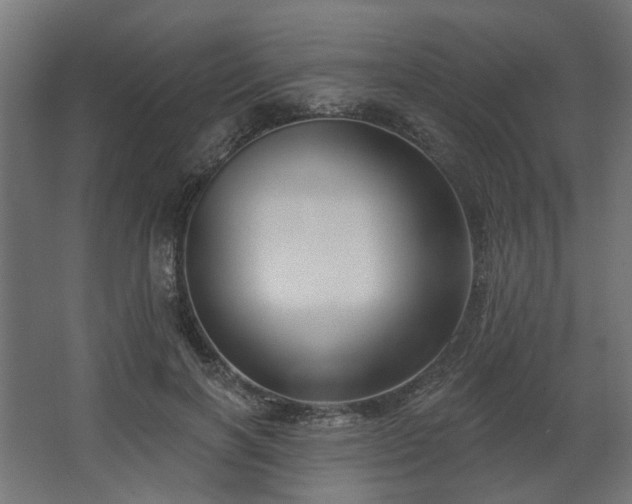 X0000067920646200604201431