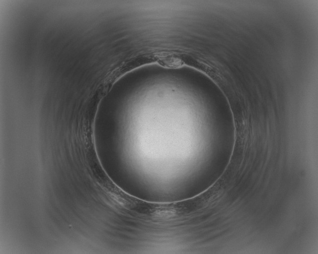 X0000067920653200604201431