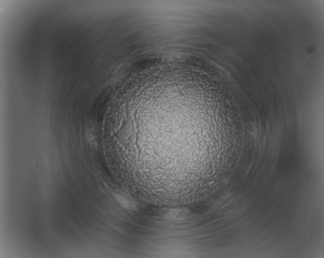 X0000067920663200604201432