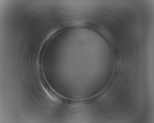 X0000067920674200604201431