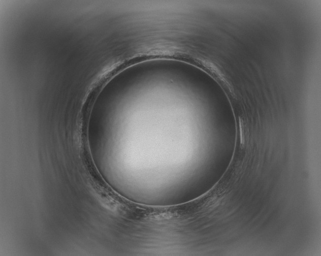 X0000067920675200604201431