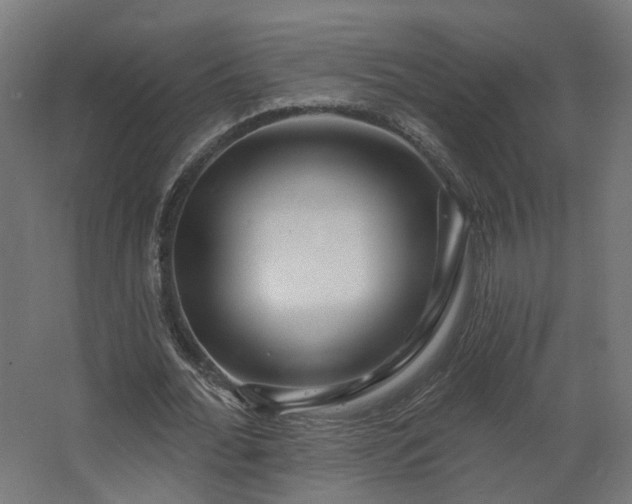 X0000067920676200604201431
