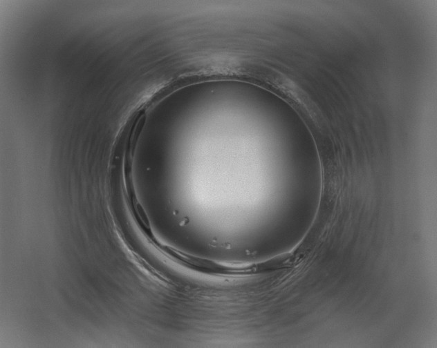 X0000067920677200604201431