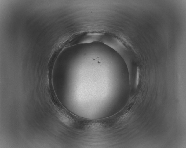 X0000067920685200604201431