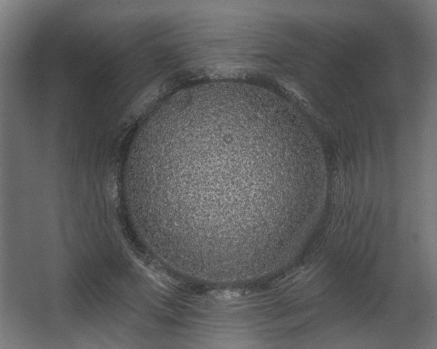 X0000067920687200604201431
