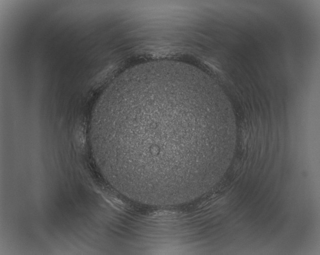 X0000067920691200604201431