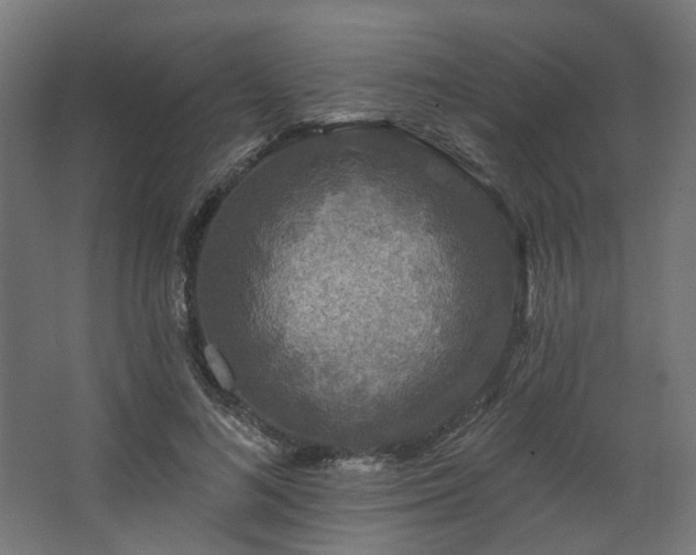 X0000067920692200604201431
