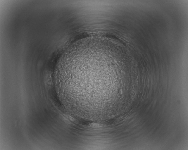 X0000067920699200604201431