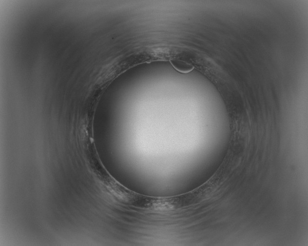 X0000067920702200604201430