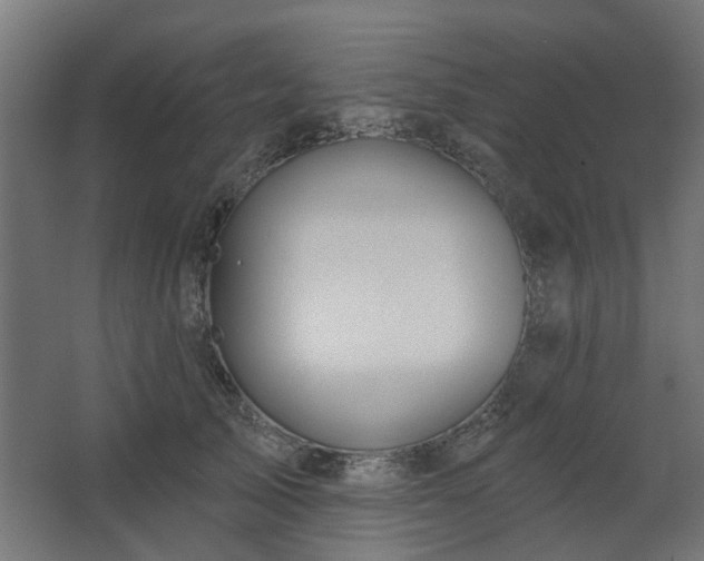 X0000067920705200604201430