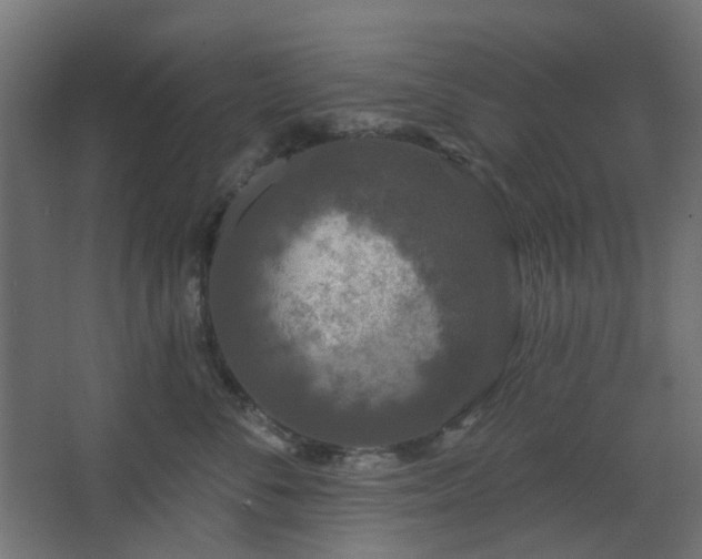 X0000067920716200604201430