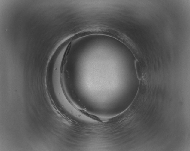 X0000067920724200604201429