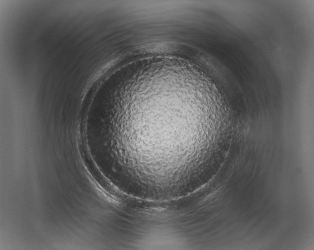 X0000067920725200604201429