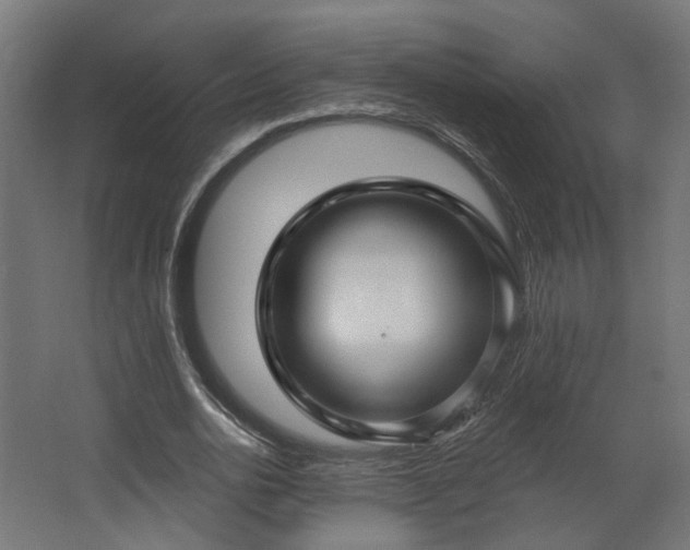 X0000067920726200604201429