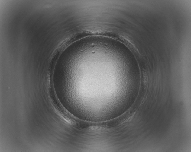 X0000067920733200604201430