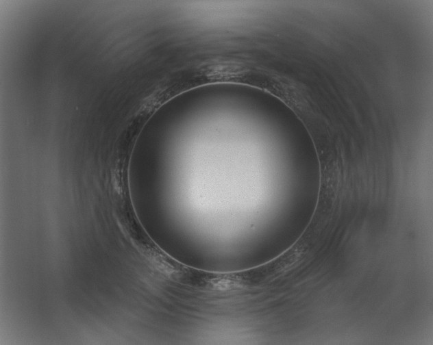 X0000067920755200604201430