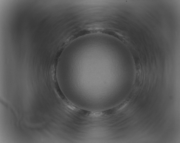 X0000067920767200604201430