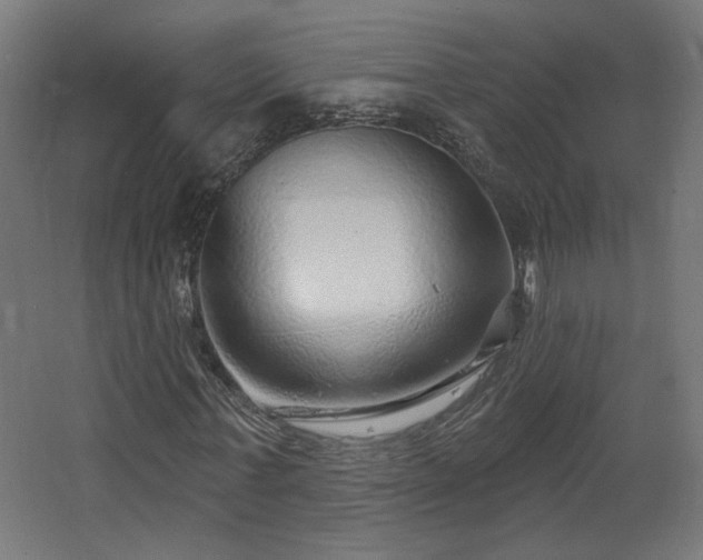 X0000067920771200604201429
