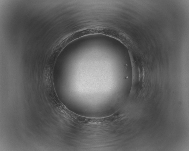 X0000067920773200604201429