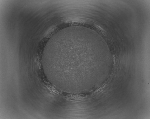 X0000067920774200604201429