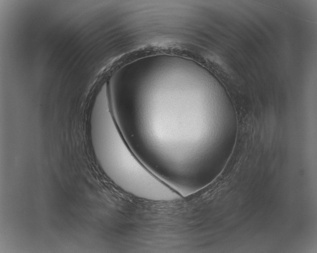 X0000067920776200604201429