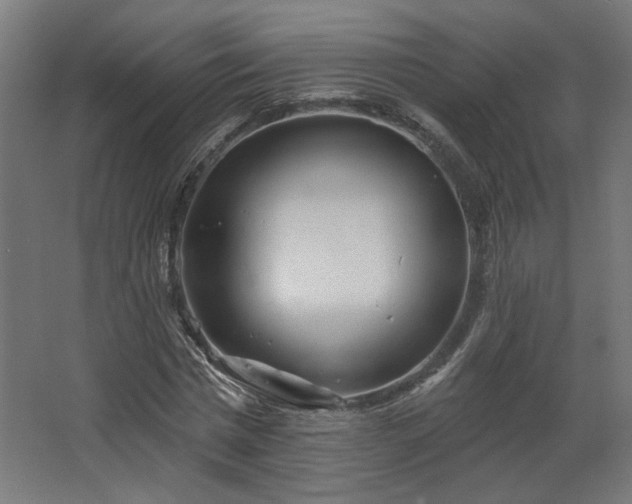 X0000067920777200604201429