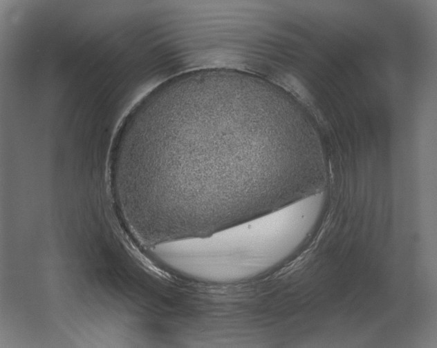 X0000067920780200604201429