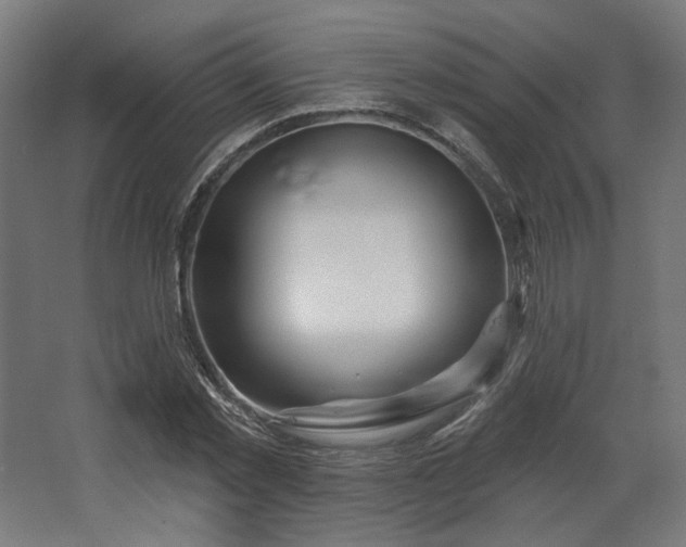 X0000067920781200604201429