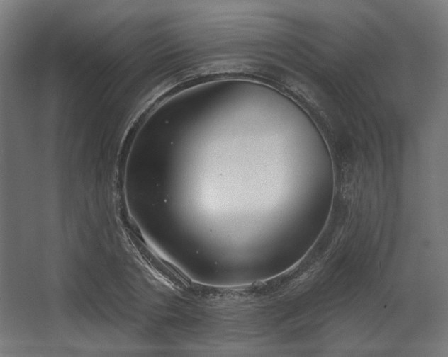 X0000067920786200604201429