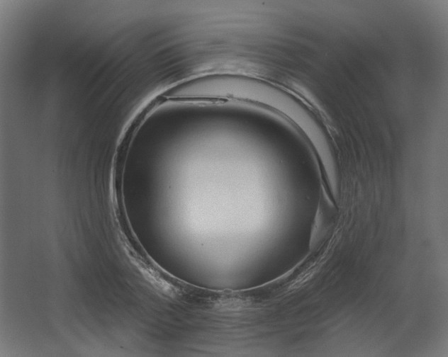 X0000067920788200604201429