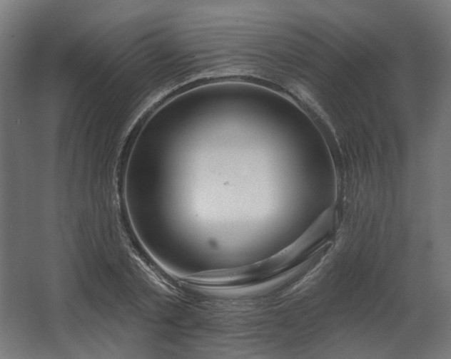 X0000067920789200604201429