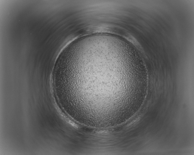 X0000067920798200604201429