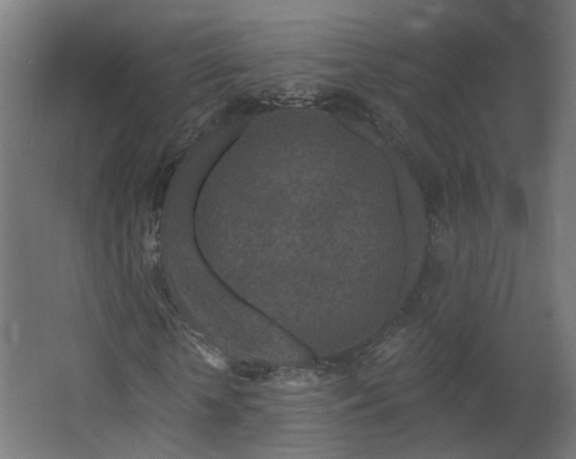 X0000067920818200604201428