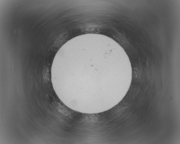 X0000067920820200604201428