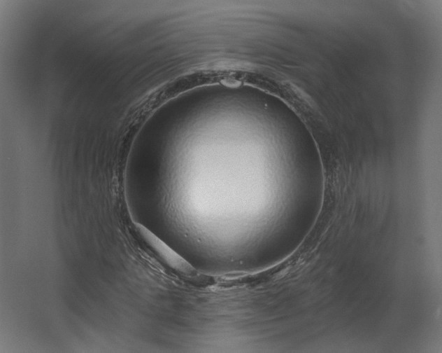 X0000067920821200604201428