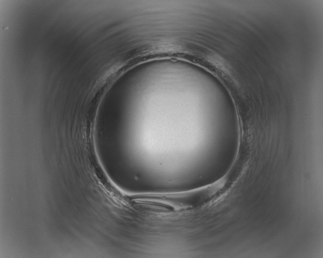 X0000067920825200604201428