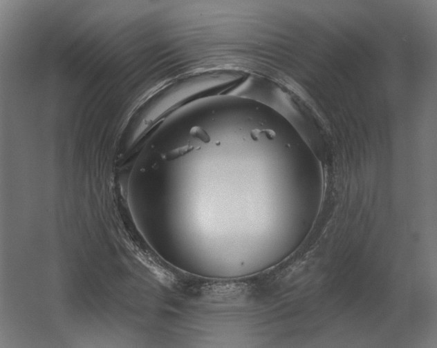 X0000067920826200604201428