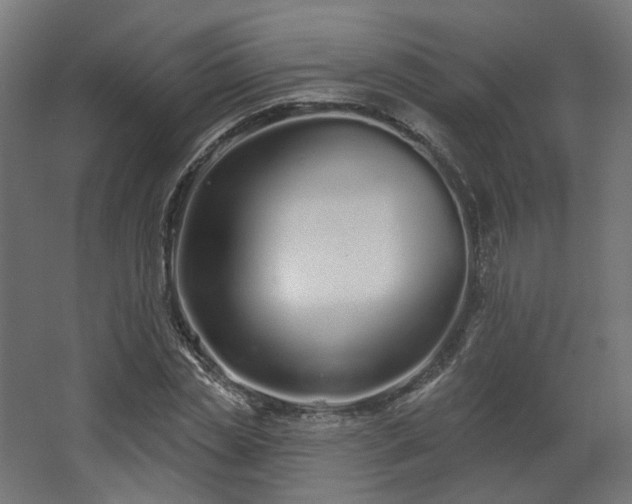 X0000067920829200604201428