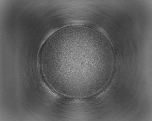 X0000067920835200604201428