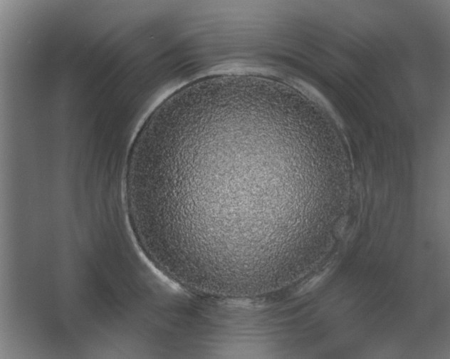 X0000067920855200604201428