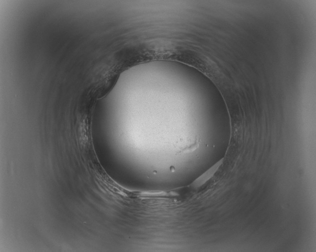 X0000067920866200604201428